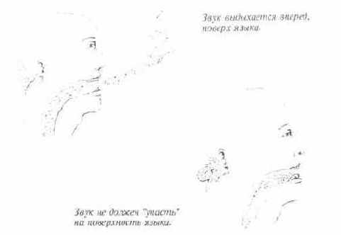Язык